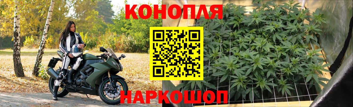 Канабис SATIVA & INDICA  Вход с VPN  Конопля LSD WEED  МАРИХУАНА семена  Белая Калитва  Шишки марихуана LSD WEED 